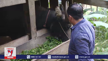 Những hộ đồng bào vùng cao tiên phong xin thoát nghèo