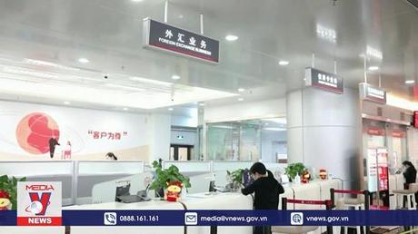 Những kịch bản 