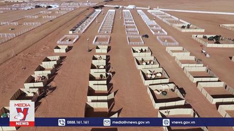 Độc đáo khách sạn dành cho lạc đà