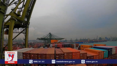 Kinh tế Singapore tăng trưởng 3,8% trong năm 2022