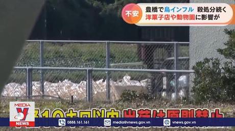 Số ca cúm gia cầm tại Nhật Bản tăng kỷ lục