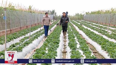 Phát triển du lịch gắn với nông nghiệp nông thôn