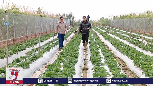 Phát triển du lịch gắn với nông nghiệp nông thôn