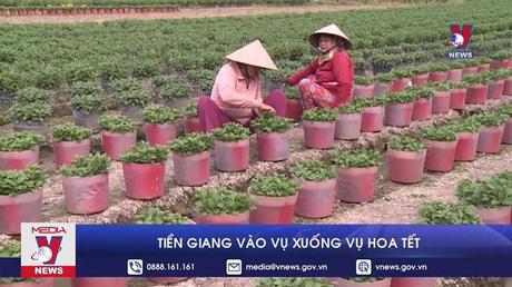 Tiền Giang vào vụ xuống vụ hoa Tết
