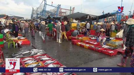 Bình Thuận khai thác thủy sản an toàn và phòng chống IUU