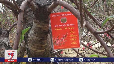 Các làng nghề truyền thống nhộn nhịp vào vụ Tết