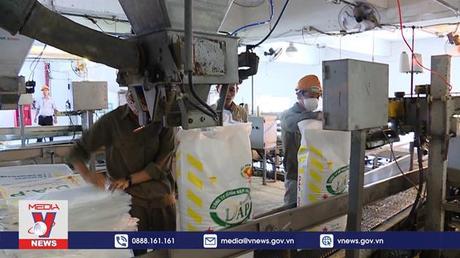 Vinachem lập kỷ lục cả về doanh thu và lợi nhuận 