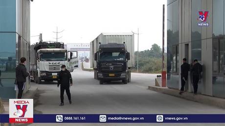 Bản tin thời sự 11h ngày 07/01/2023