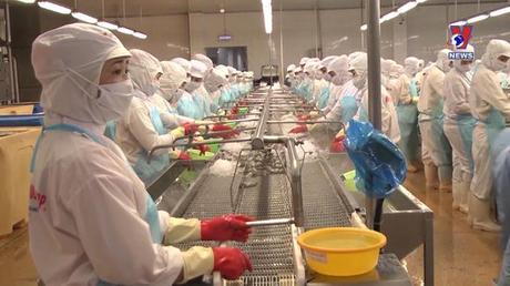 Bản tin tiếng Anh ngà 07/01/2023