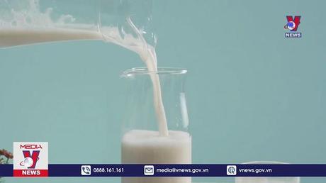 Xung quanh sự lên ngôi của sữa thực vật