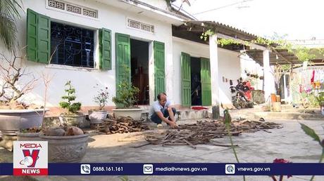 Bình Định thực hiện đợt cao điểm 180 ngày chống khai thác IUU