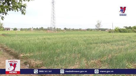 Bản tin thời sự 8h ngày 08/01/2023