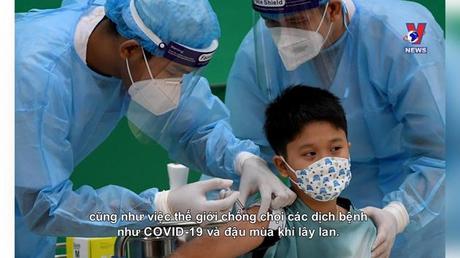 Không gian Pháp ngữ: Độc đáo bộ tranh mèo sơn mài khắc đón Tết Quý Mão