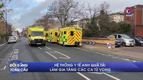 Đời sống toàn cầu ngày 08/01/2023