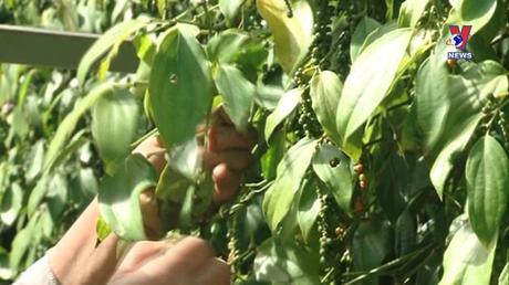 Bản tin tiếng Anh ngày 08/01/2023