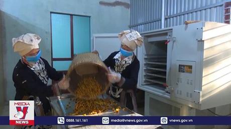 Bắc Kạn phát triển giá trị sản phẩm nông nghiệp để xuất khẩu