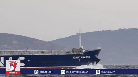 Thổ Nhĩ Kỳ sẽ vận chuyển ngũ cốc Nga đến châu Phi