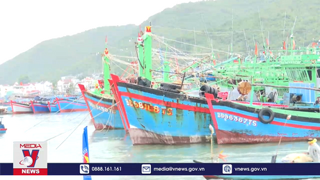 Ngư dân Khánh Hòa ra quân chuyến khai thác hải sản xuyên Tết Quý Mão