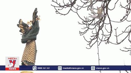 LHQ tiếp tục thúc đẩy xuất khẩu lương thực và phân bón của Nga