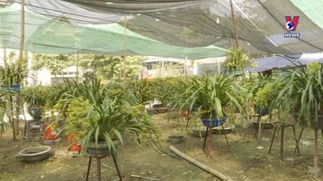 Nhật trình kinh tế ngày 11/01/2023