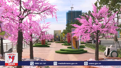 Đà Nẵng đầu tư đường hoa đón Tết