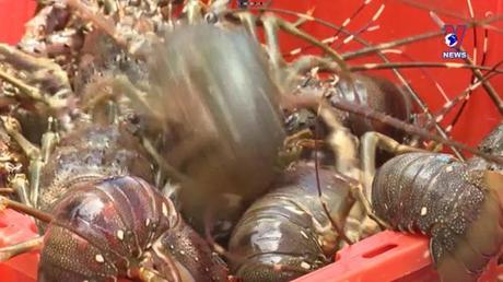 Nhật trình kinh tế ngày 12/01/2023