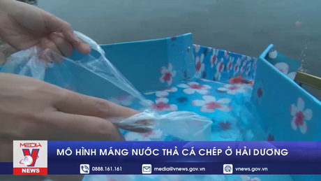 Mô hình máng nước thả cá chép ở Hải Dương