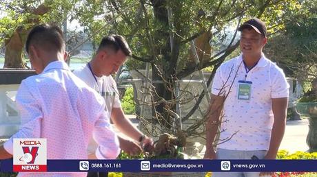 Khai mạc Lễ hội Hoàng mai Huế 2023