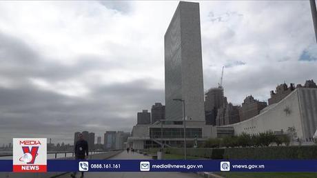 LHQ đánh giá hiệu quả thực hiện thỏa thuận ngũ cốc Biển Đen