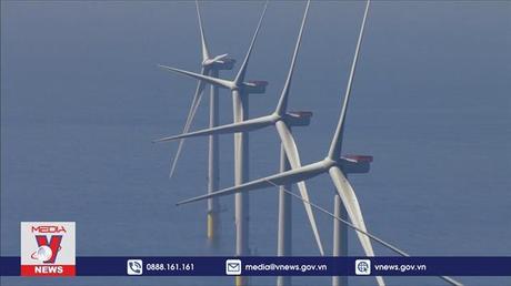 Các dự án carbon thấp thu hút nhiều nhà đầu tư toàn cầu