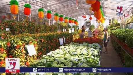 Tết mùa “bão giá”