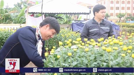 Thị trường hoa Tết Quảng Trị sôi động  