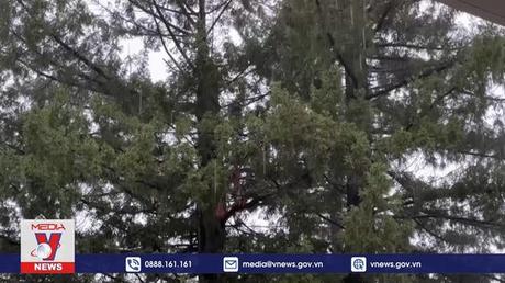 Bão, lũ tiếp tục hoành hành tại bang California (Mỹ)