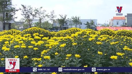 Bản tin thời sự 08h ngày 16/01/2023