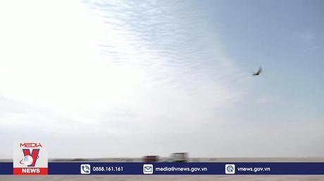 Hấp dẫn giải đấu chim ưng săn mồi tại Qatar