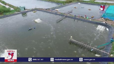 Việt Nam lọt top 3 nước xuất khẩu thủy sản lớn nhất thế giới