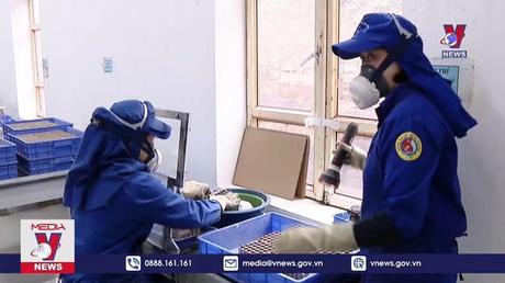 Cảnh báo về việc mua pháo hoa trực tuyến