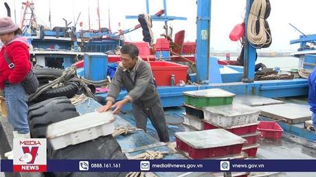 Ngư dân Thanh Hóa phấn khởi với chuyến biển cuối năm