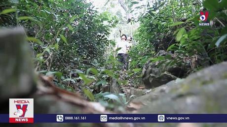 Hà Giang nỗ lực quản lý, bảo vệ rừng