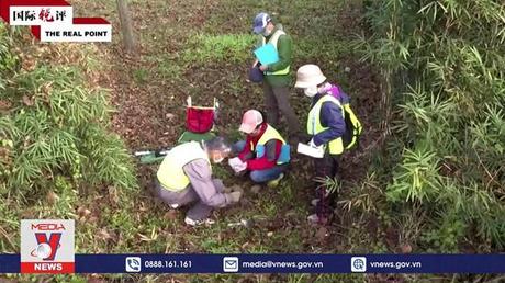 PIF kêu gọi Nhật Bản hoãn xả nước từ nhà máy điện hạt nhân