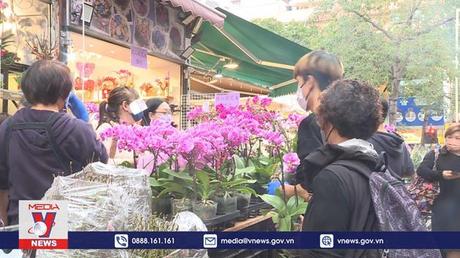 Chợ hoa Hong Kong (Trung Quốc) khoe sắc Xuân