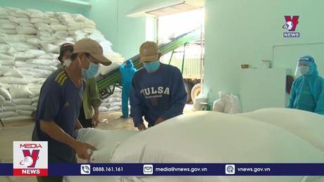 Xuất cấp gạo cho 7 tỉnh dịp Tết Nguyên đán 