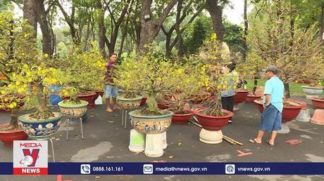 Hoa Tết đầy chợ, sức mua chưa cao