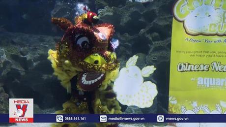 Múa sư tử dưới thủy cung mừng Tết Nguyên đán