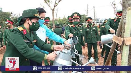 Hà Nội phấn đấu trồng mới hơn 200.000 cây xanh đô thị