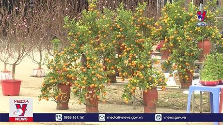 Bản tin thời sự 21h ngày 22/01/2023