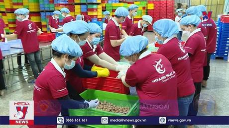 Bản tin thời sự 11h ngày 23/01/2023