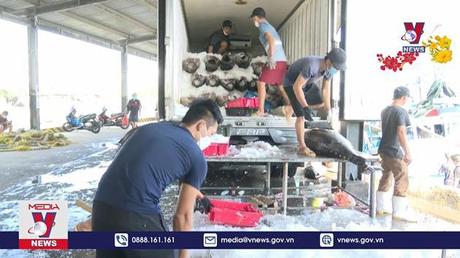 Cá ngừ đạt kim ngạch xuất khẩu 1 tỷ USD 