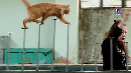 Văn hóa toàn cảnh ngày 23/01/2023