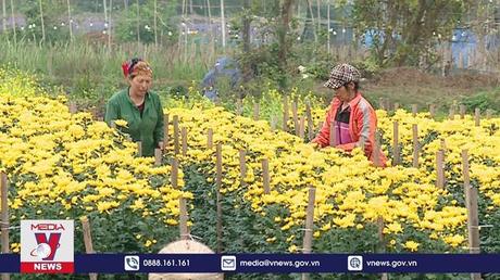 Khởi nghiệp từ nguồn vốn vay nhỏ